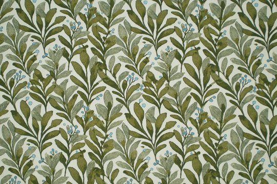 MOUNT RAINER MOSS.jpg