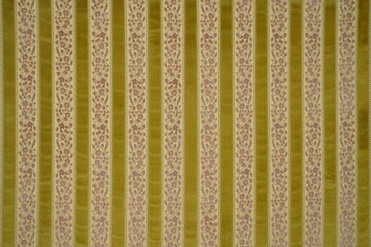 MUSTARD STRIPE.jpg