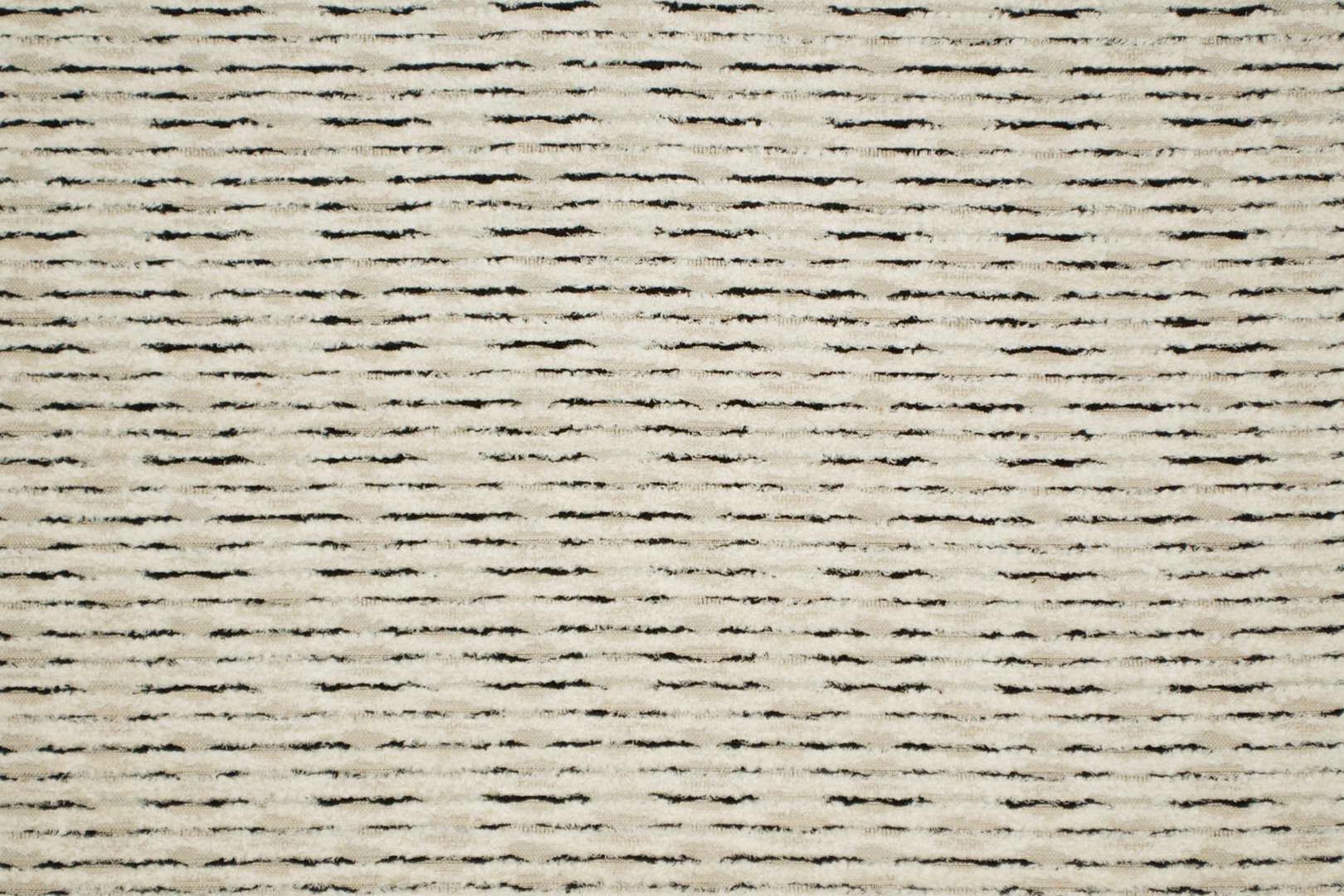 MYSTERY DALMATION.jpg