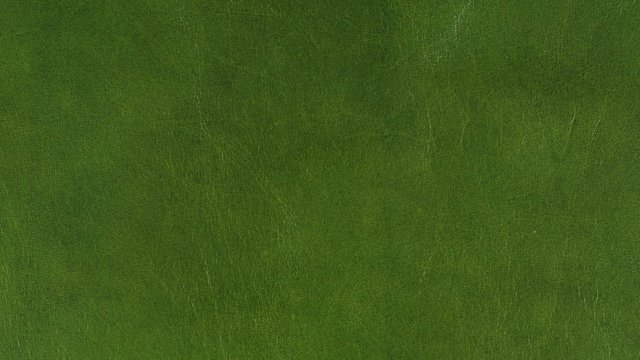 Mont Blanc Evergreen.jpg