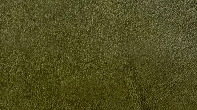 Mont Blanc Marsh_final_rev.jpg