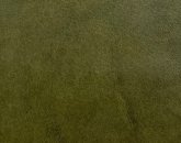 Mont Blanc Marsh_final_rev.jpg