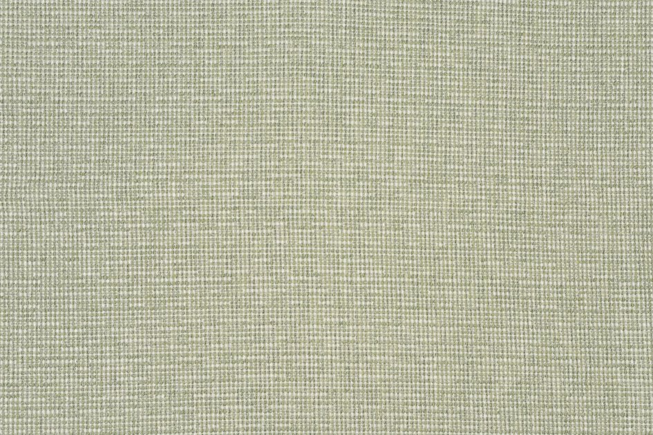 NADIC LAUREL | Taylor King