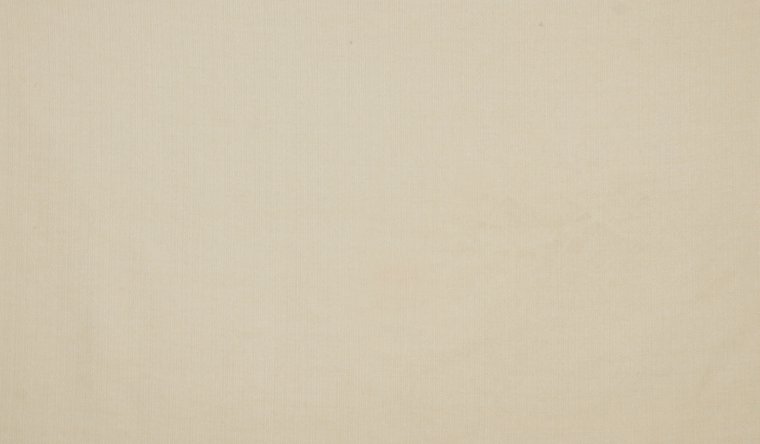 NEWVILLE COCONUT Image