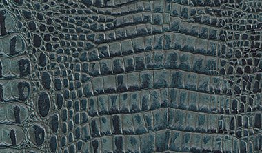 Nile Croco Lagoon Image