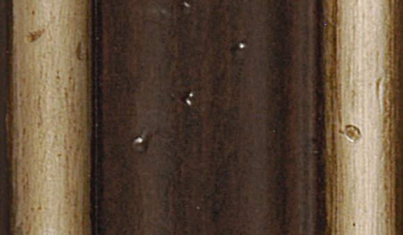 Nouveau Premium Image