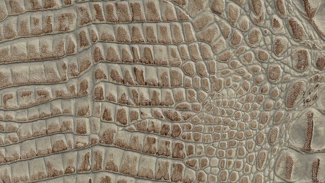 Nile Croco Cobblestone Image