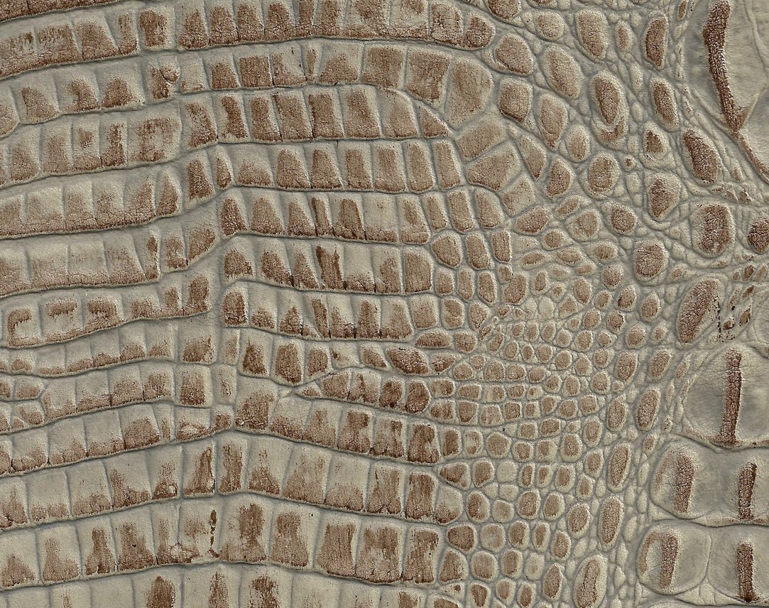 Nile Croco Cobblestone Image