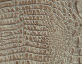 Nile Croco Cobblestone Image