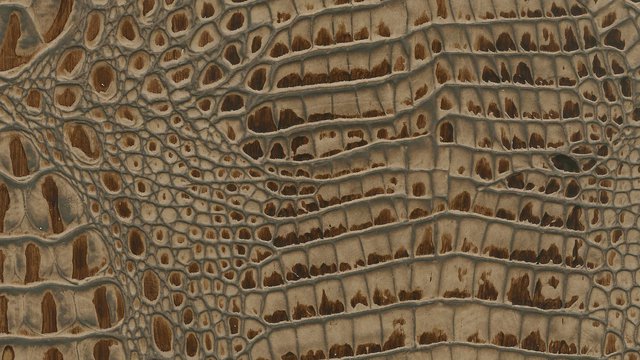 Nile Croco London Coach.jpg