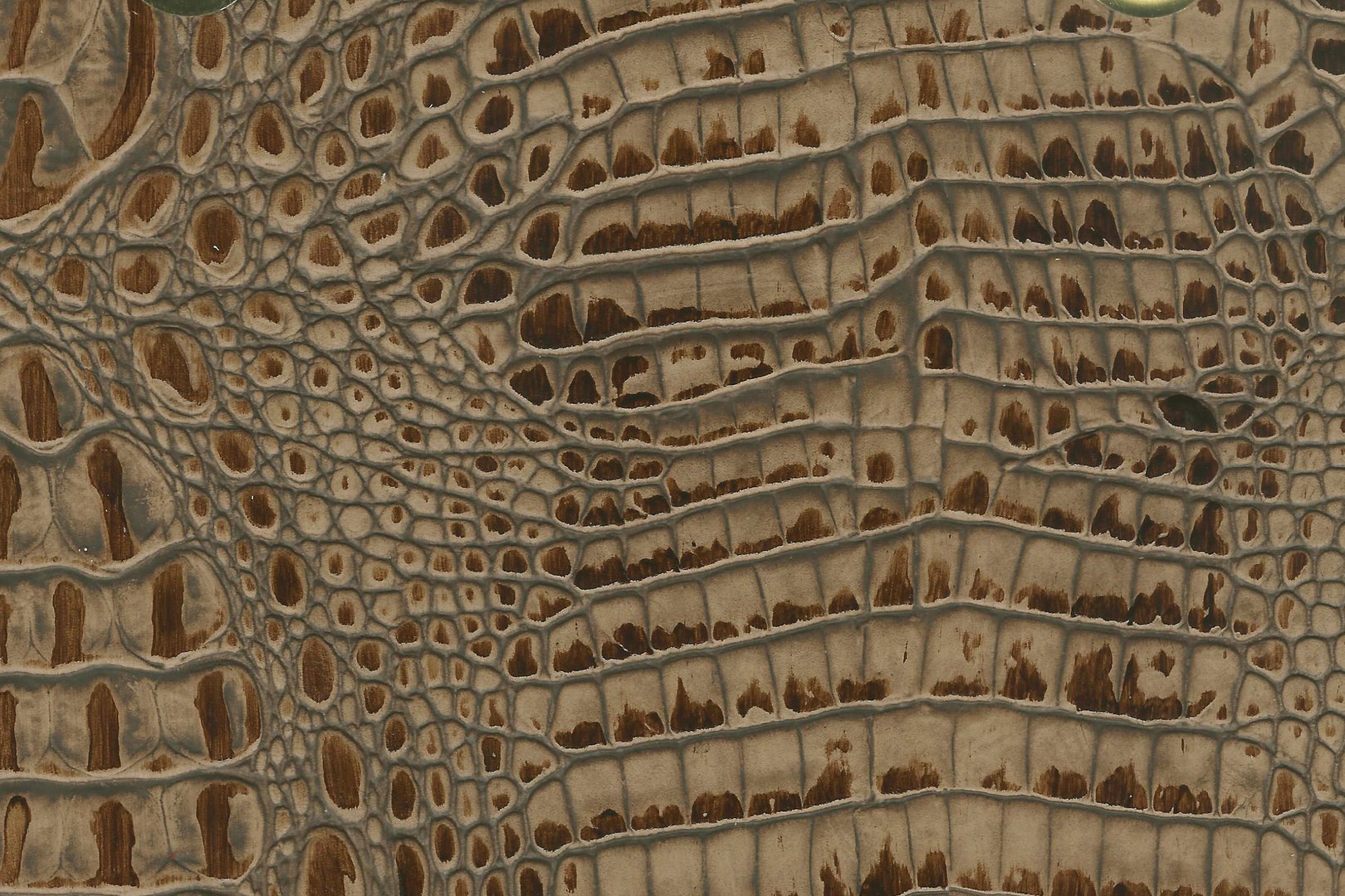 Nile Croco London Coach.jpg