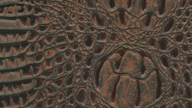 Nile Croco Rusty Nail.jpg