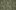 OAKS PAISLEY PAISLEY.jpg