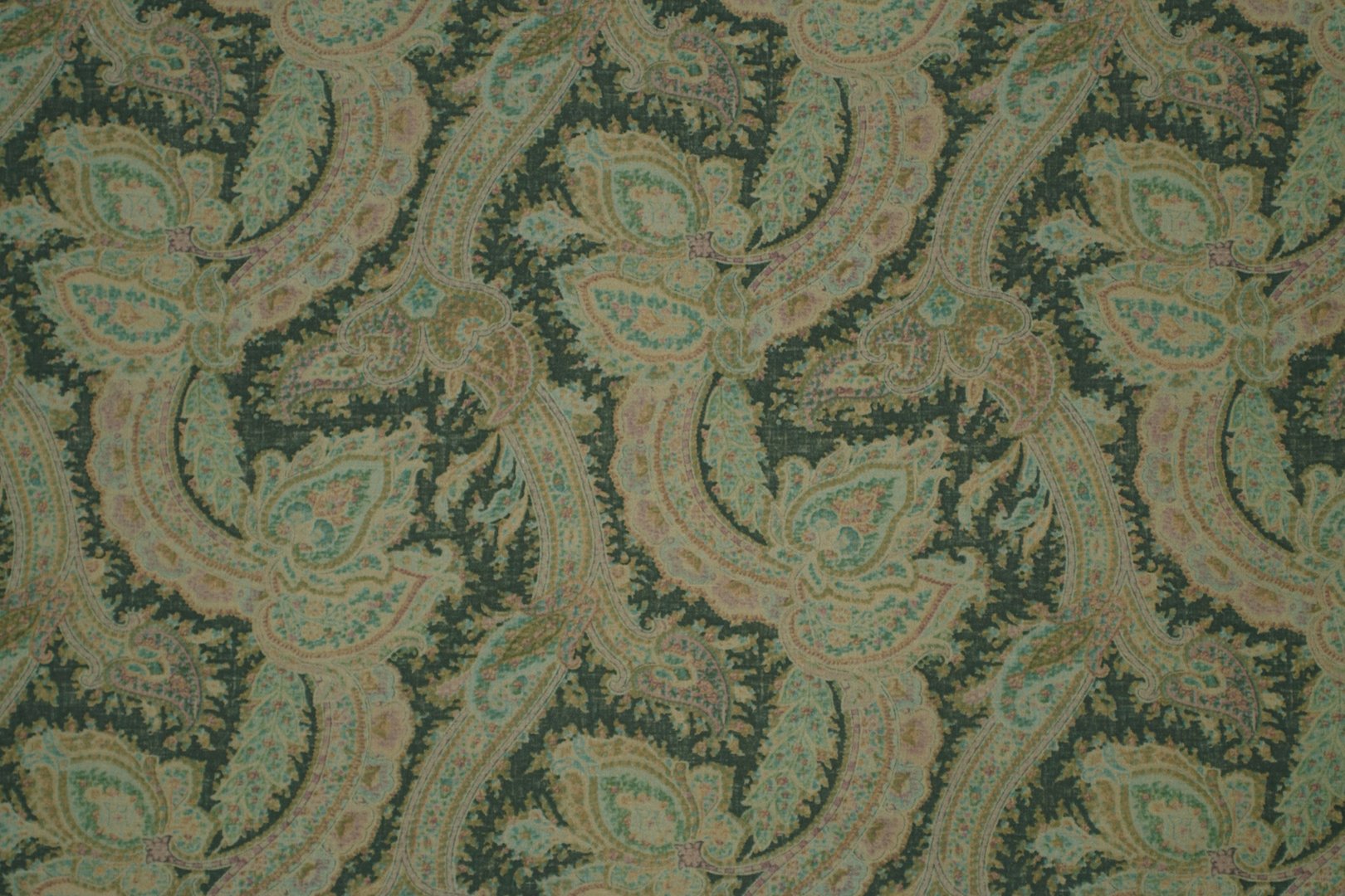 OAKS PAISLEY PAISLEY.jpg