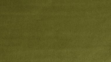 Obsession Forest Image