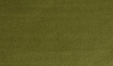 Obsession Forest Image