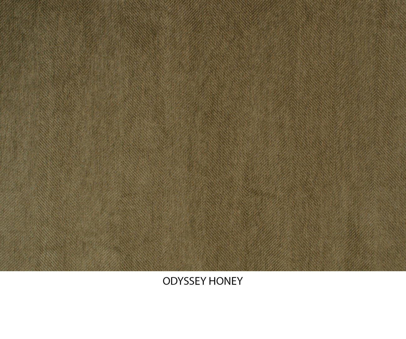 Odyssey Honey Image