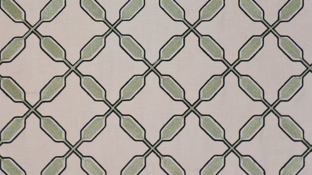 PADDLE FOREST copy.jpg