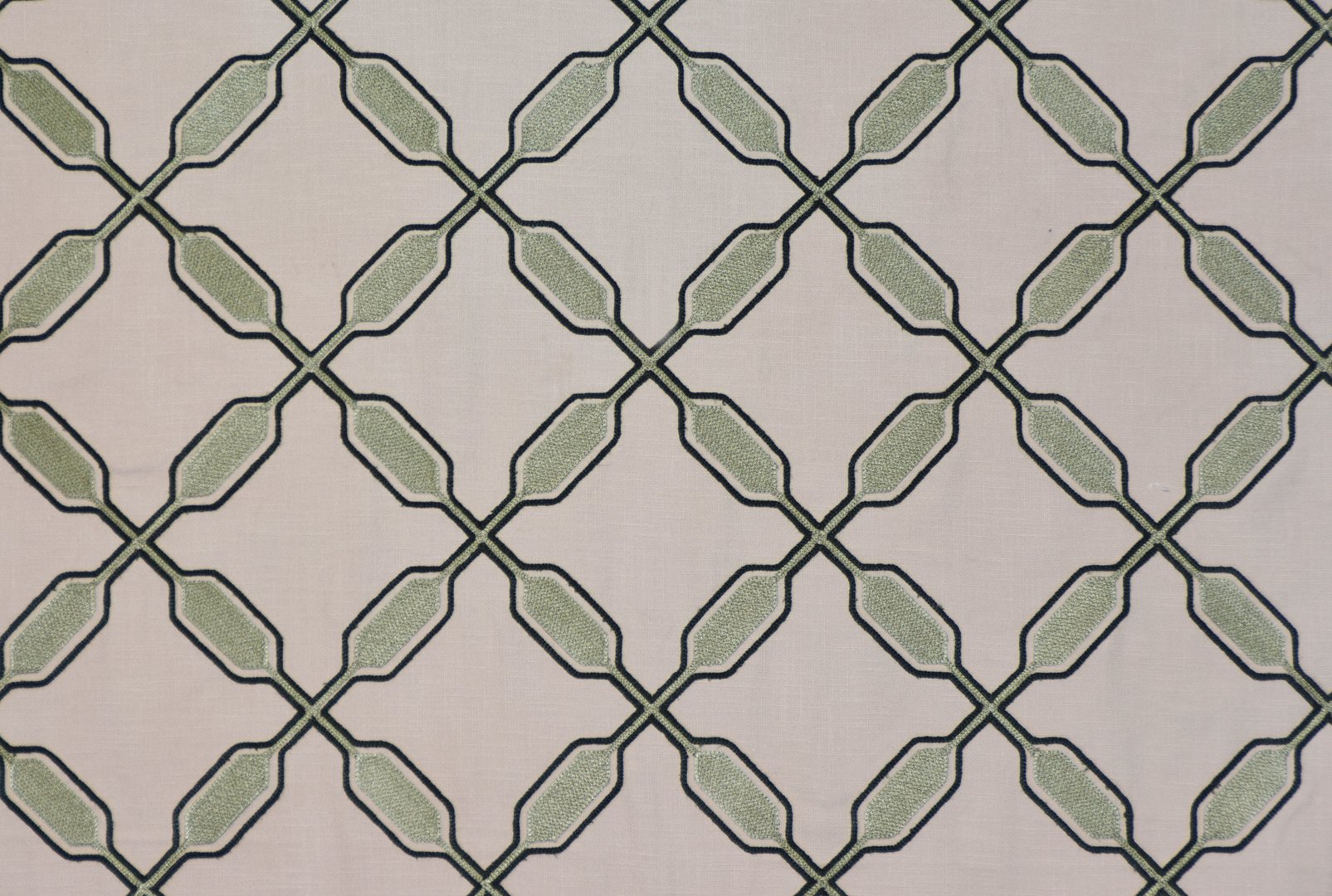 PADDLE FOREST copy.jpg