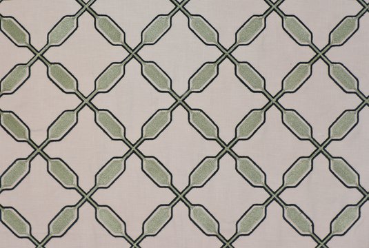 PADDLE FOREST copy.jpg