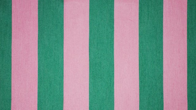 PAPPAGALLO PREPPY.jpg