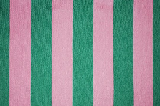 PAPPAGALLO PREPPY.jpg