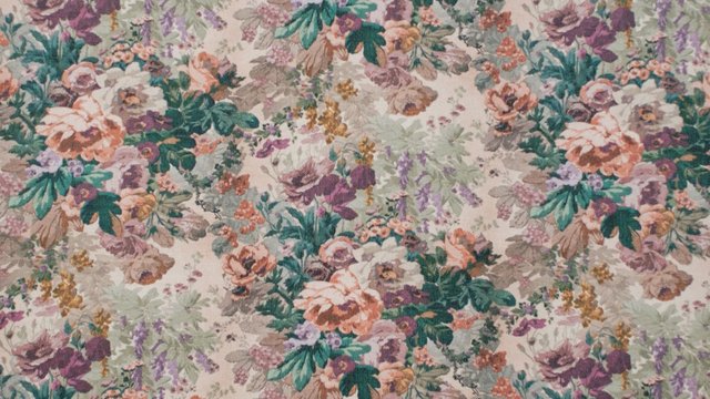 PENELOPE PAEAN_cropped.jpeg