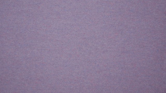 PERRY WOOL IRIS.jpg