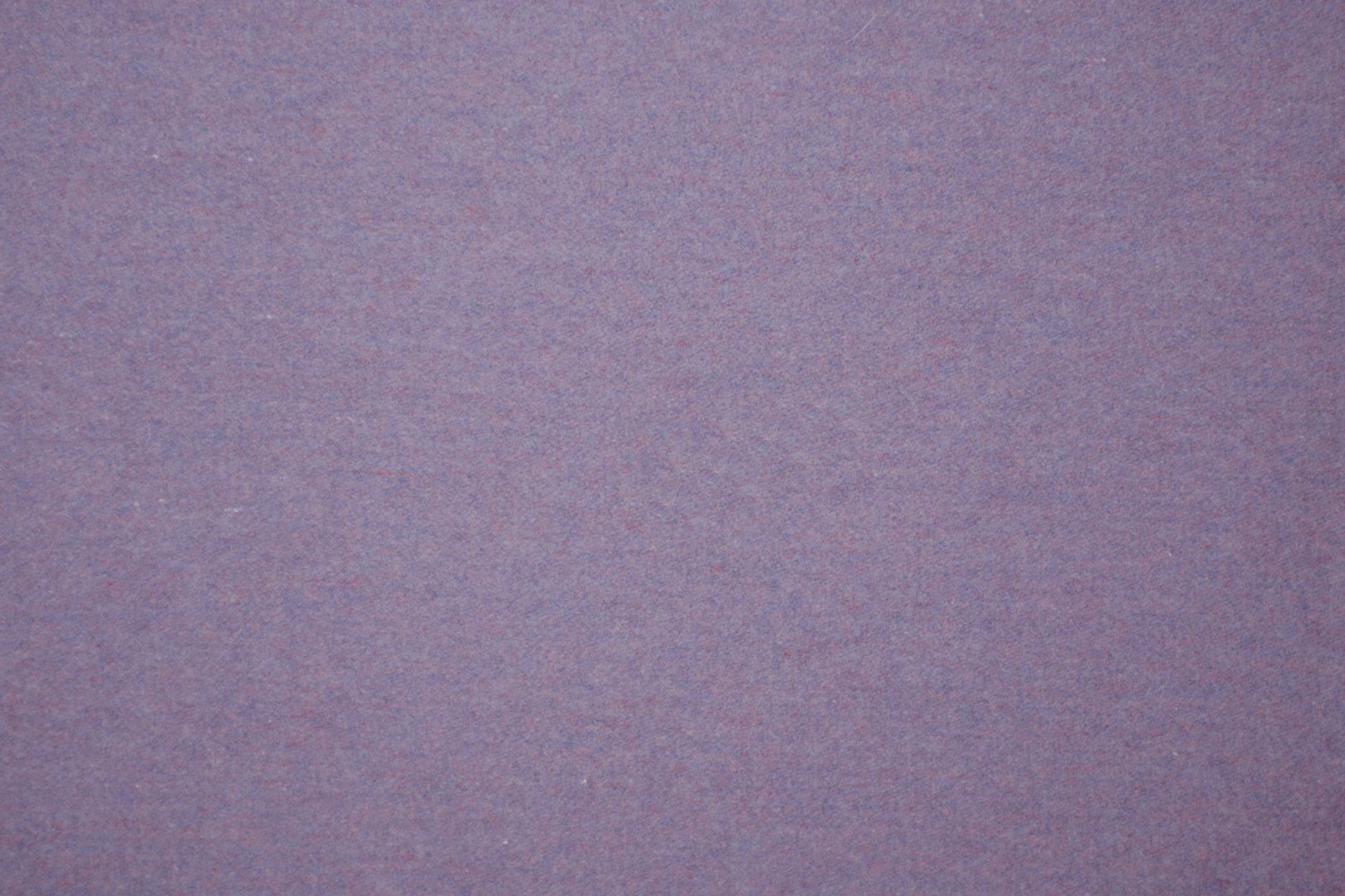 PERRY WOOL IRIS.jpg