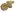 Polished Brass Decorative Caster Image