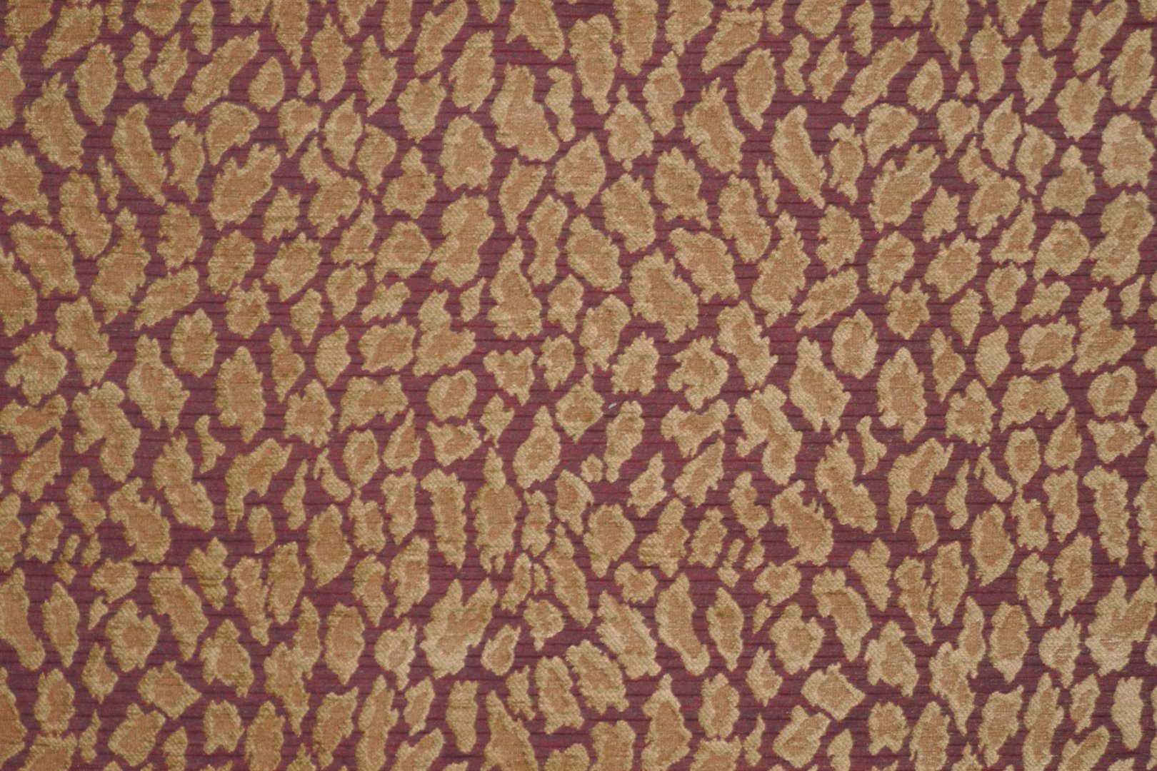 POUNCE HEARTTHROB.jpg