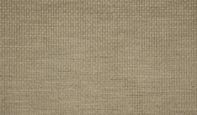 PROXIMITY DOVE Image