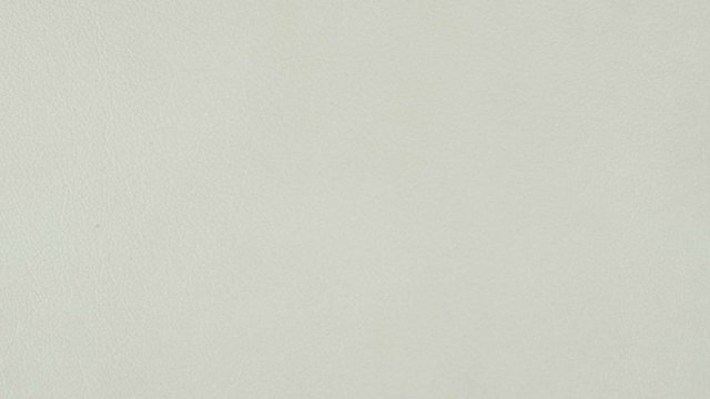 Priceless Arctic II.jpg