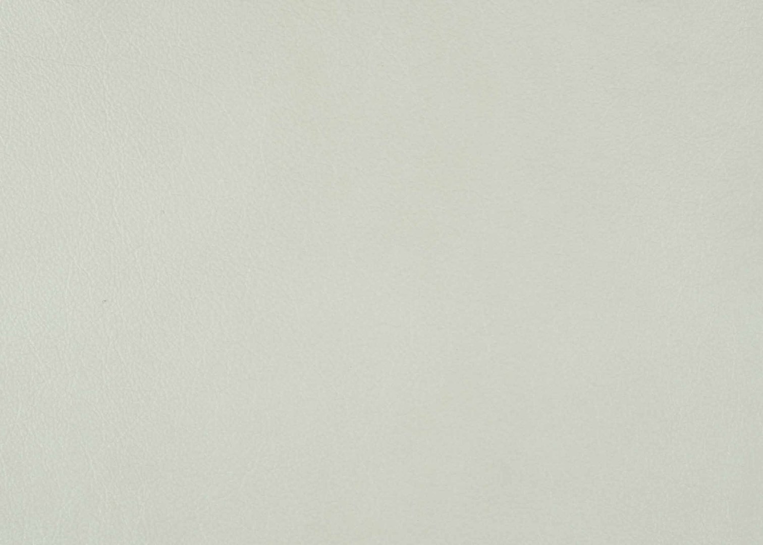 Priceless Arctic II.jpg