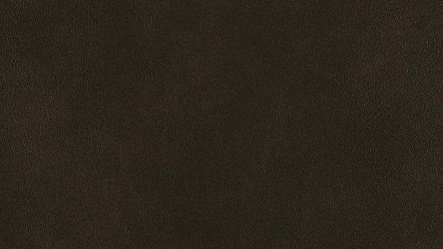 Priceless Character II.jpg