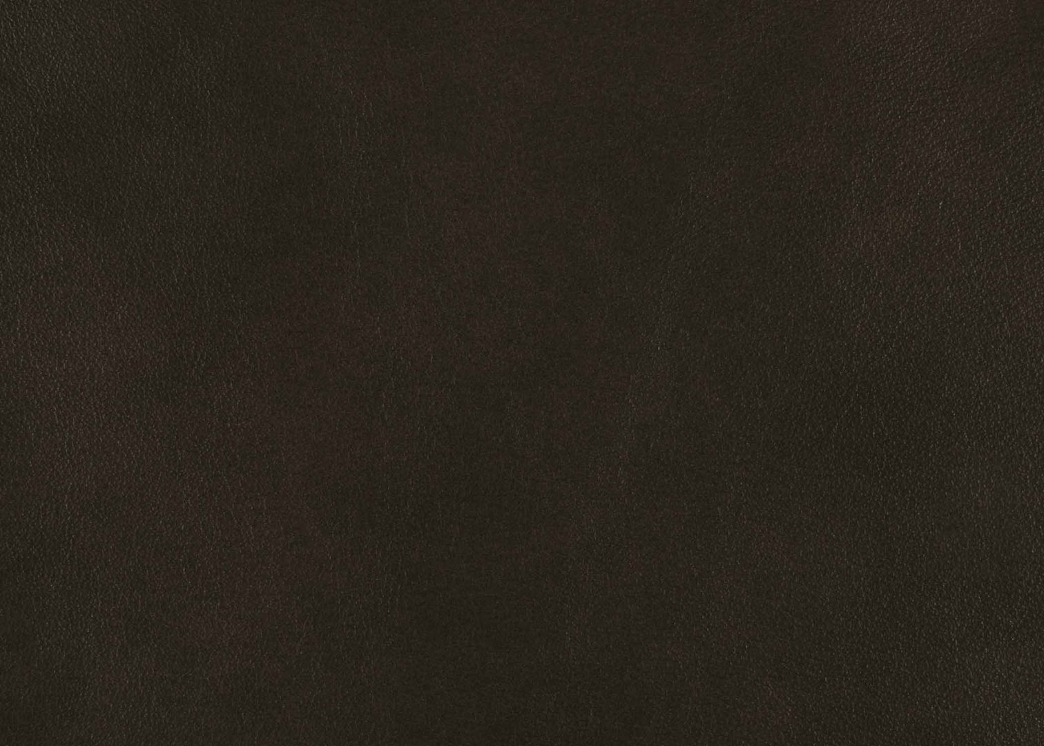 Priceless Character II.jpg