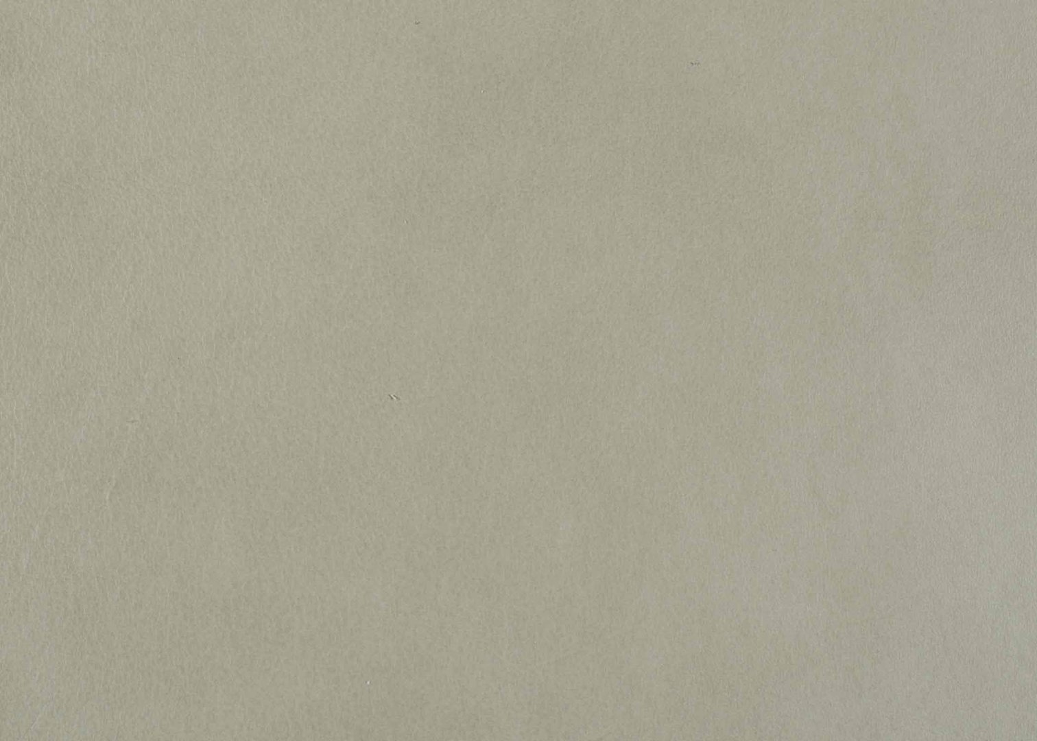 Priceless Cozy II.jpg