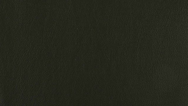 Priceless Knight Skye II.jpg