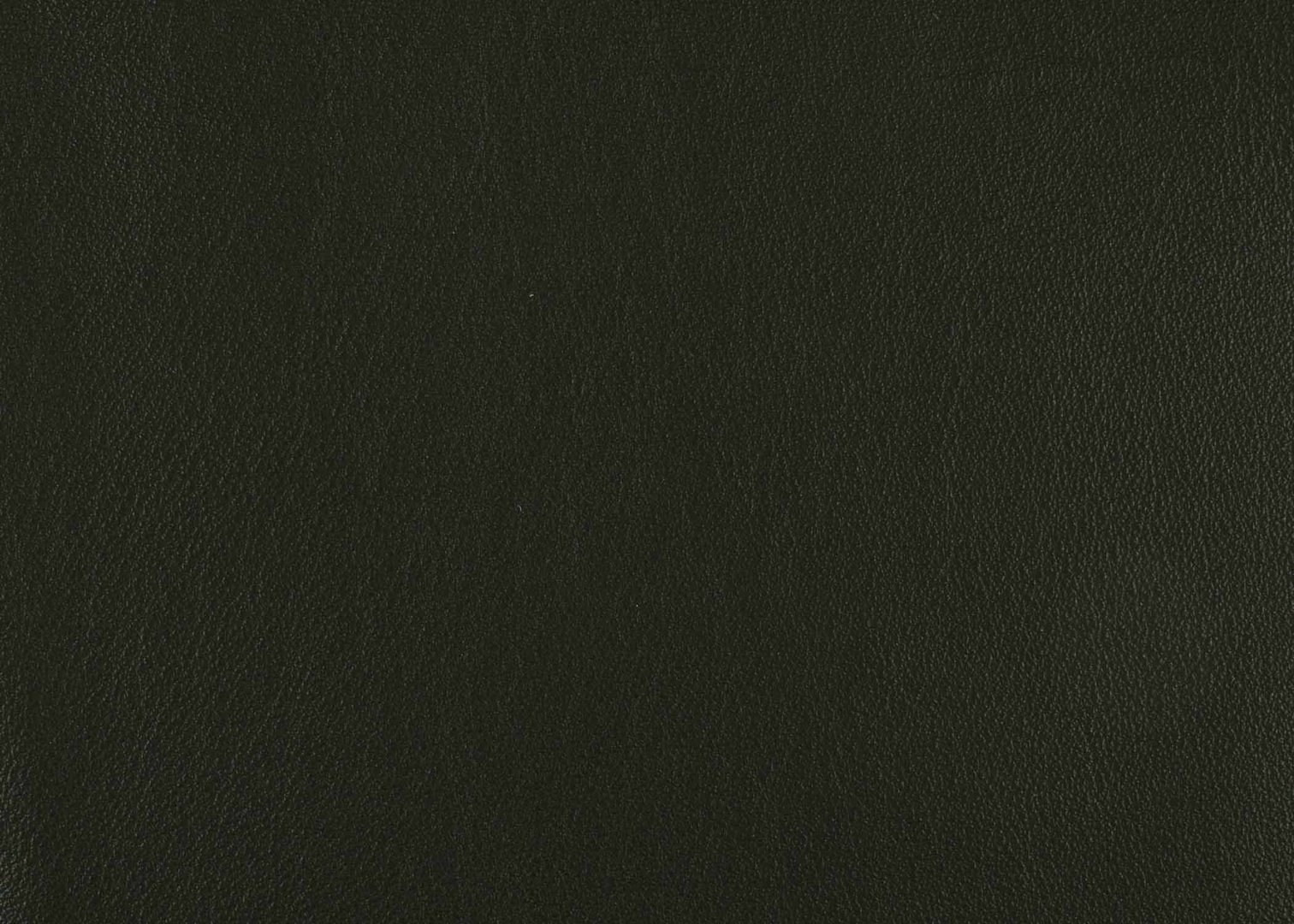 Priceless Knight Skye II.jpg