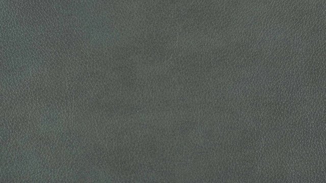 Priceless Memory II.jpg