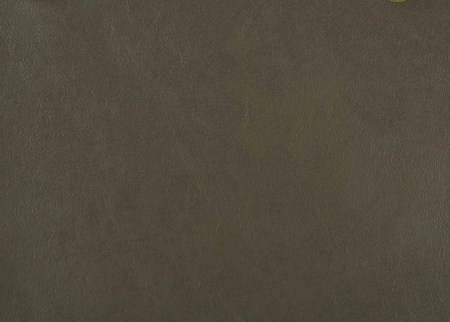 Priceless Moment II.jpg