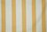 RIBBON MARIGOLD.jpg