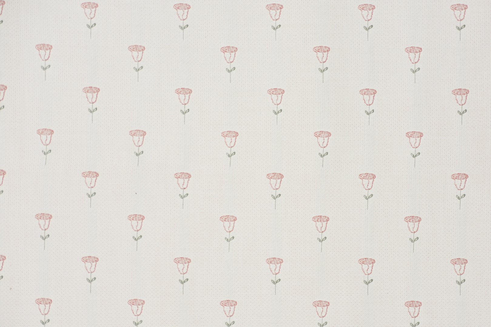 ROSEY BISQUE copy.jpg