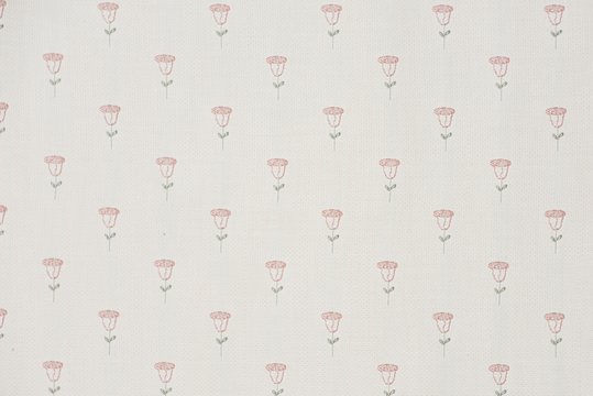ROSEY BISQUE copy.jpg