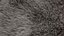 SASQUATCH SIGHTING.jpg