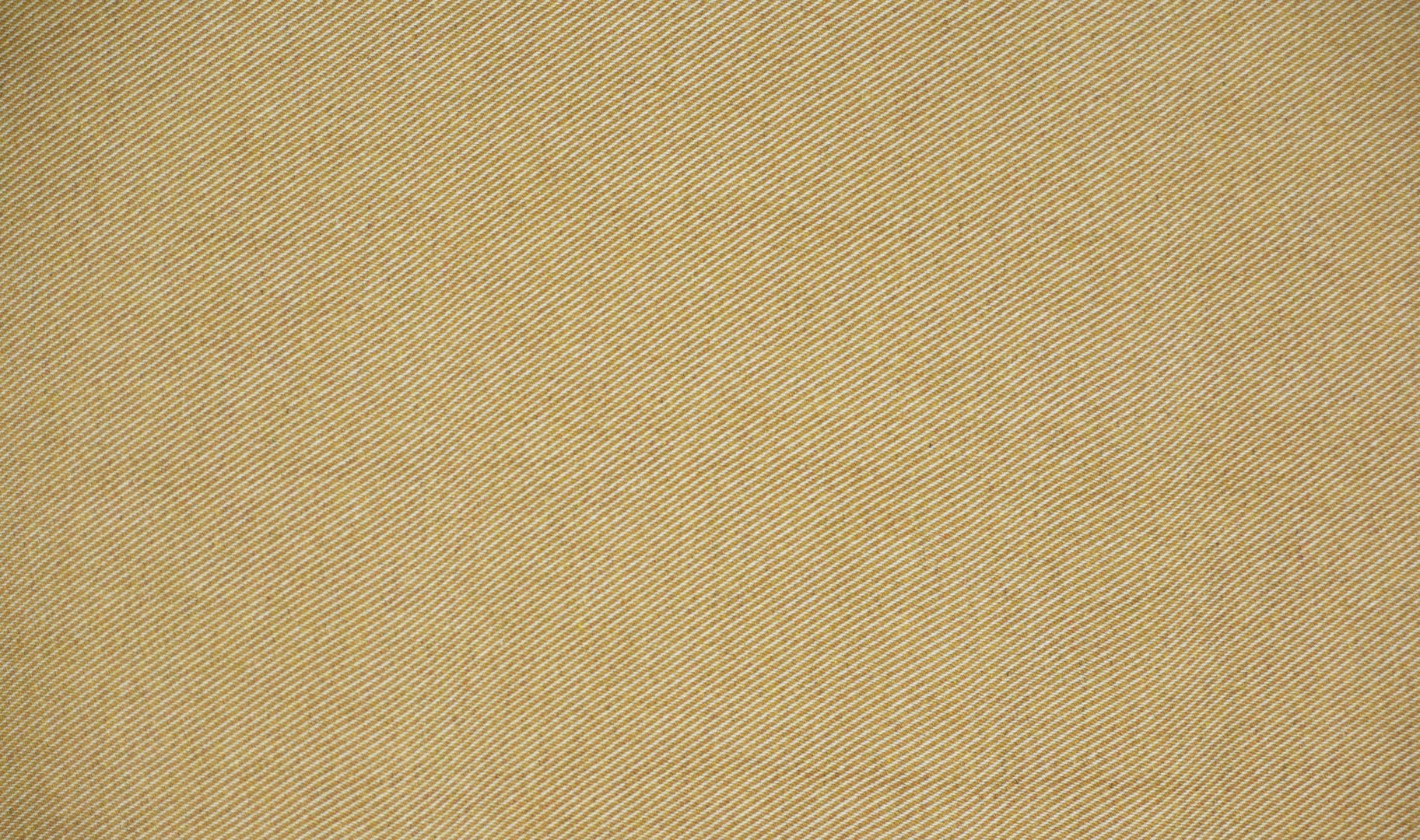 SELWYN GOLD copy.jpg