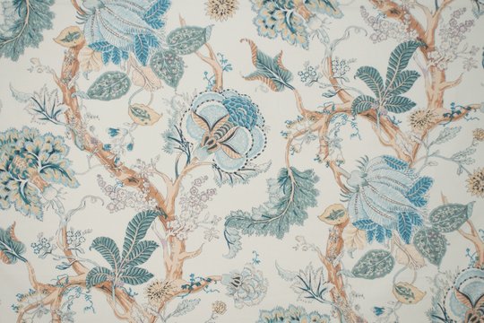 SERAPHINA BLUEBELL.jpg