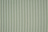 SHERBORNE FERN.jpg