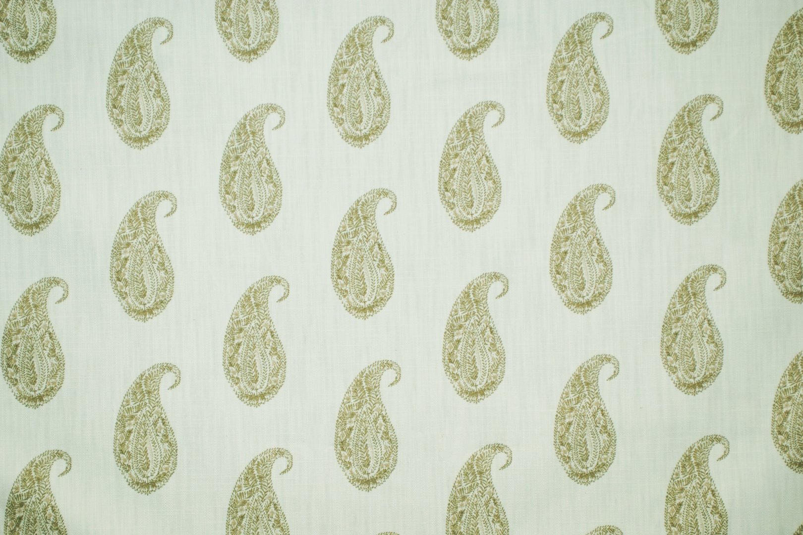 SMALL LIVE PAISLEY BEIGE.jpg