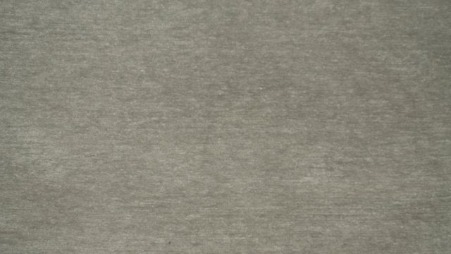 SNUGLY CHINCHILLA.jpg